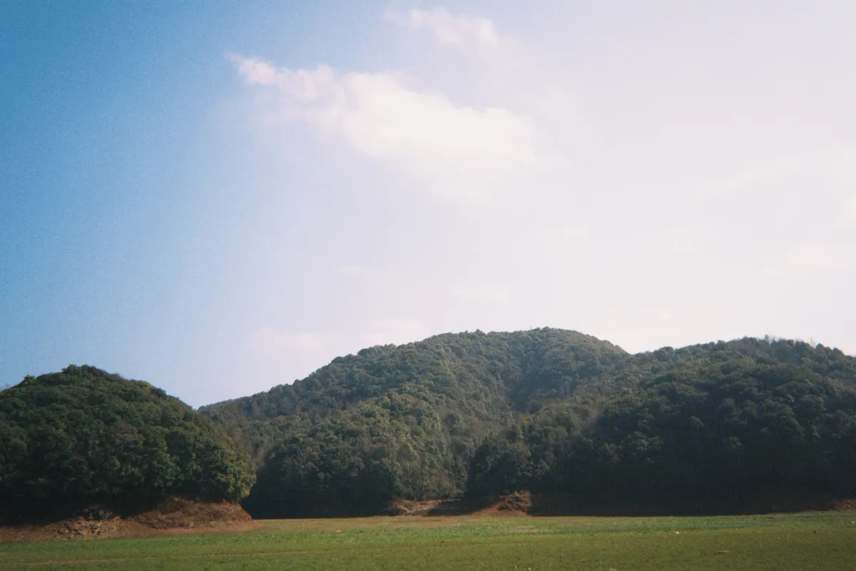 A relaxed walk around home